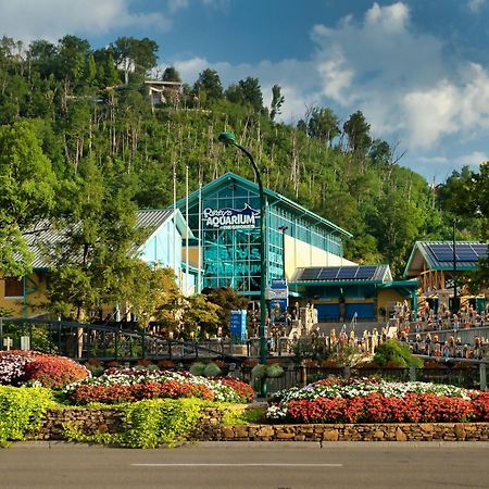 Romance In The Smokies By Distinctive Getaways Villa Gatlinburg Exterior foto